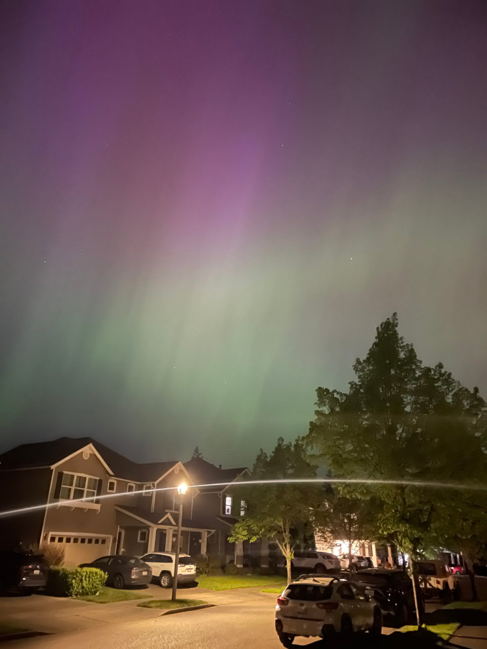 IMG_4358 The northern lights